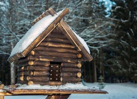 Make A Log Cabin Birdhouse And Attract Wildlife To Your Garden