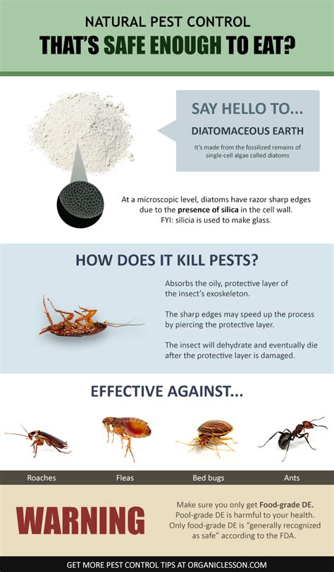 Diatomaceous earth is extremely effective for killing fleas that are hiding in carpets, either in your home or even can you apply diatomaceous earth on cats or dogs? Diatomaceous Earth - Food Grade Benefits & Uses incl. Pest ...