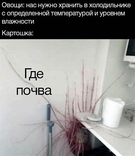 Диета 4 картошка Картофель | Пикабу Картофель | Пикабу Диета 4 картошка