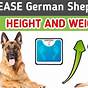 German Shepard Weight Chart