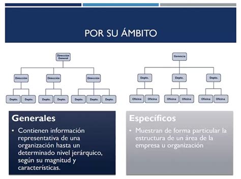 Tipos De Organigramas Y Sus Caracteristicas Sugarcult Porn Sex Picture