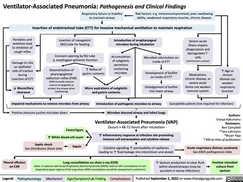 Pediatric Pneumonia Pathogenesis And Clinical Findings Calgary Guide Hot Sex Picture