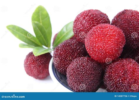 Fresh Waxberry Stock Photo Image Of Colourful Purple 14587736
