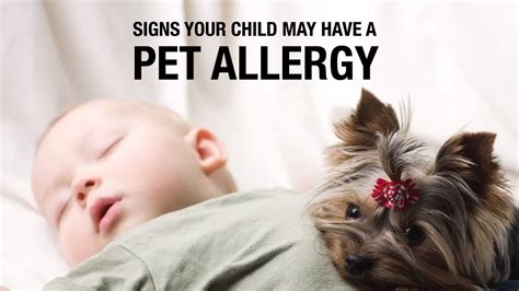 Can A 6 Month Old Baby Be Allergic To Dogs