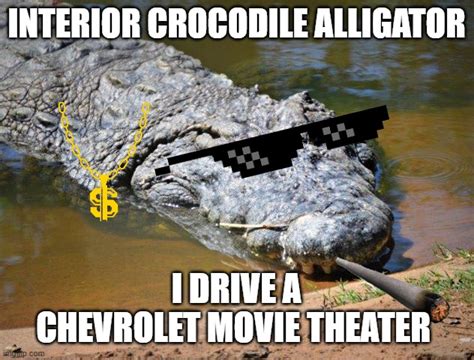 Crocodile Imgflip