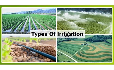 Types Of Irrigation Methods Of Irrigation What Is Irrigation
