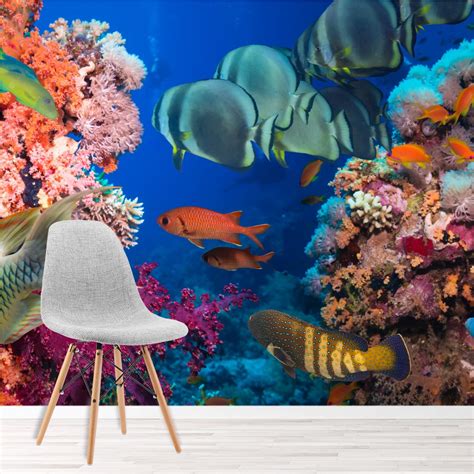 Colourful Tropical Fish In Coral Reef Animal Wall Mural Nature Photo