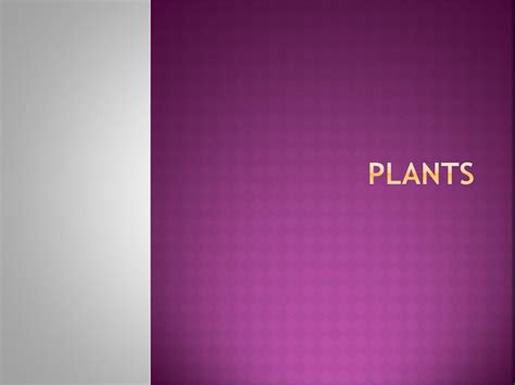 Ppt Plants Powerpoint Presentation Free Download Id2072004