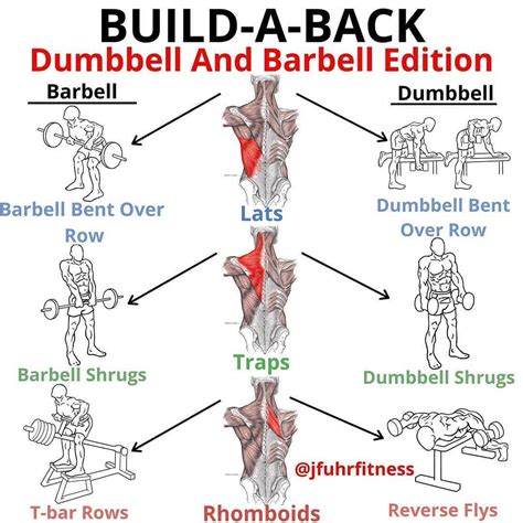 Justin Fuhrman On Instagram “a Classic Build A Back Dumbbell And Barbell Editioncable And