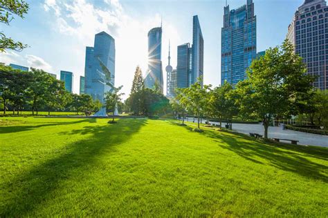 The Top Parks In Shanghai