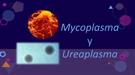 Tema 18 Mycoplasma Y Ureaplasma Parte 12 Youtube