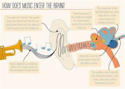 Jelias Music Playground Infographic The Psychology Of Music
