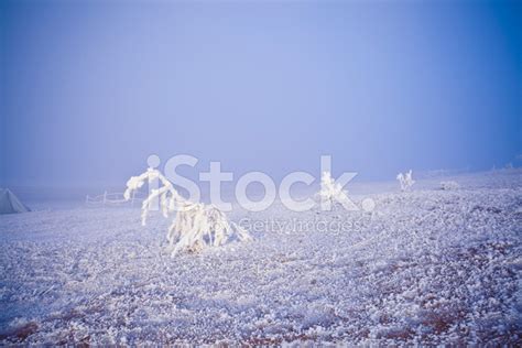 Winter Scenery Stock Photo Royalty Free Freeimages