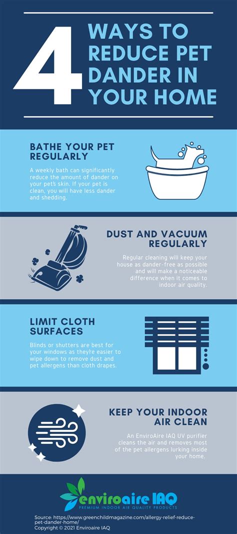 Infographic 4 Ways To Reduce Pet Dander In Your Home