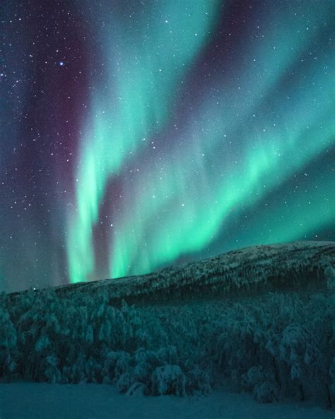 Fotos Gratis Aurora Cielo Naturaleza Verde Atmósfera Fenómeno