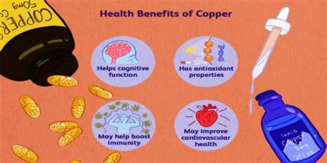 Health Benefits And Risks Of Copper Zoefact