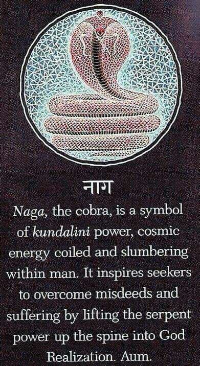 💕💕💕 Naga The Cobra Serpent Power 💕💕💕 Kundalini Awakening Tarot