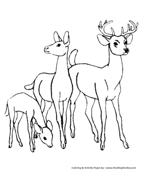 Kleurplaat hertje ~ pin op knutselen. Deer Coloring page | Deer family Wild animal coloring page ...
