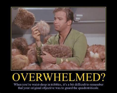 20 Hilarious Star Trek Memes That Will Split Your Sides Star Trek