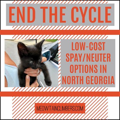 Yes, having your pet fixed prevents unwanted litters. Low-Cost Spay and Neuter Options in North Georgia ...