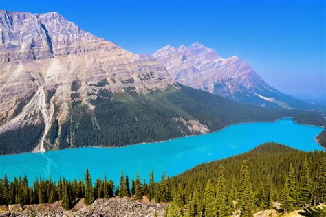 Peyto Lake Lookout Banff National Park Canada 60004000 Wallpaperable