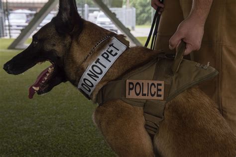 A Year Long Investigation Into The Unaccountable Police Brutality Of K9