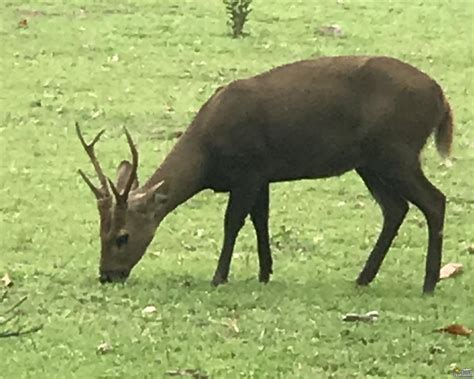 بمجرد التسجيل وتسجيل الدخول ، ستتمكن من إنشاء مواضيع ونشر الردود على المواضيع الحالية وإعطاء سمعة لزملائك الأعضاء والحصول على برنامج. رحلتي الى جزيرة بالاوان - الصفحة 4 - شبكة و منتديات العرب ...