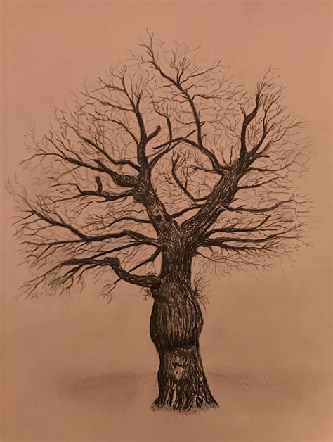 Drawing an Inspiring Tree - Christina French