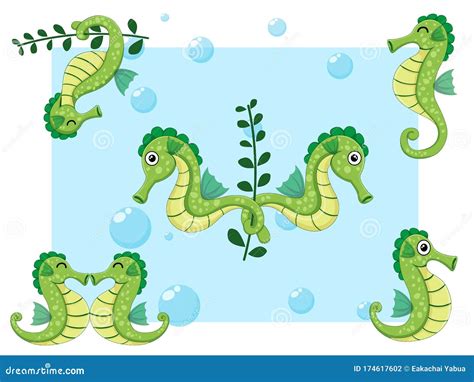 Cute Seahorses Cartoon Characters Set Vector Illustration With Cartoon