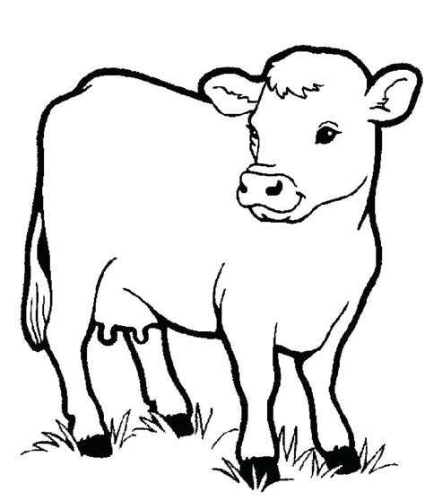 Cow Face Coloring Pages At Free