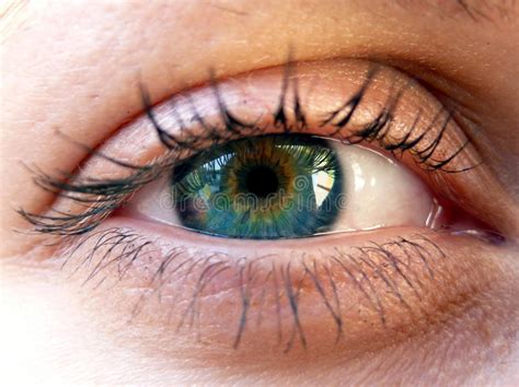 Beautiful Eye Of Woman Stock Photo Image Of Light Eyeball 16826734