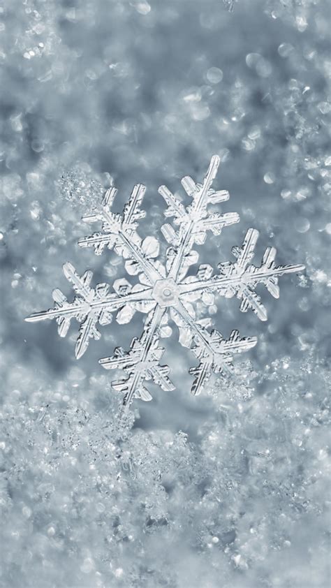 Snow Crystal Wallpapers Top Free Snow Crystal Backgrounds