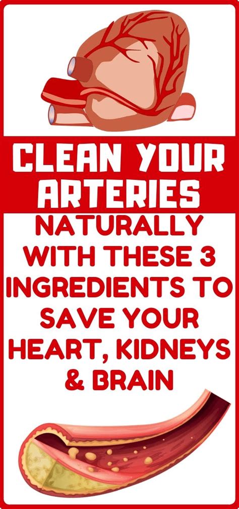 how to clean out plaque in arteries by using natural remedies healthy advice