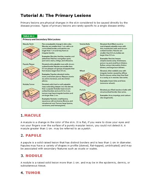 Primary And Secondary Lesions Pdf Cutaneous Conditions Skin