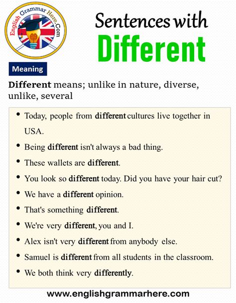 Sentences With Different Meaning And Example Sentences English