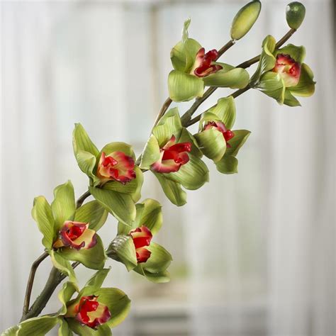 Green Artificial Cymbidium Orchid Stem Picks And Stems Floral Supplies Craft Supplies