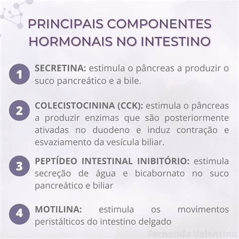 Com Relação Aos Componentes Hormonais Do Intestino Analise As Afirmativas