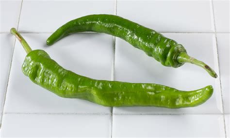 Types Of Green Peppers Cheaper Than Retail Price Buy Clothing Accessories And Lifestyle