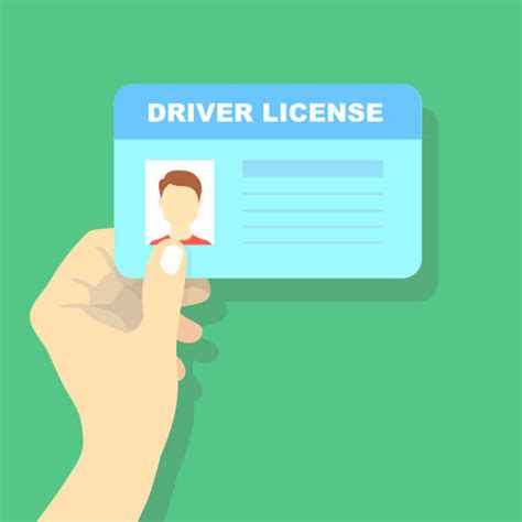 Drivers License Photo Illustrations Royalty Free Vector Graphics