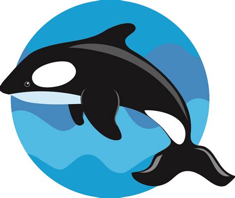 Free Cartoon Killer Whale Download Free Cartoon Killer Whale Png