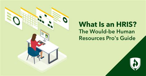 what is an hris the would be human resources pro s guide rasmussen university