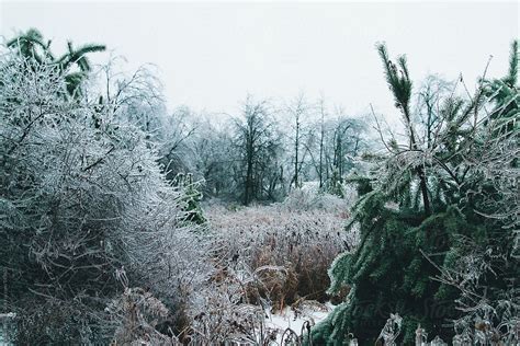 Michigan Winter By Stocksy Contributor Jesse Morrow Stocksy