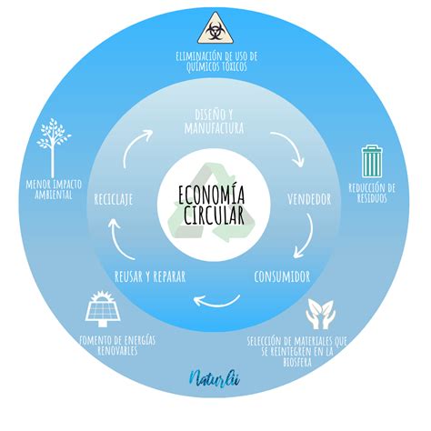 Economía circular qué es y cómo ayuda a promover la sostenibilidad Naturlii