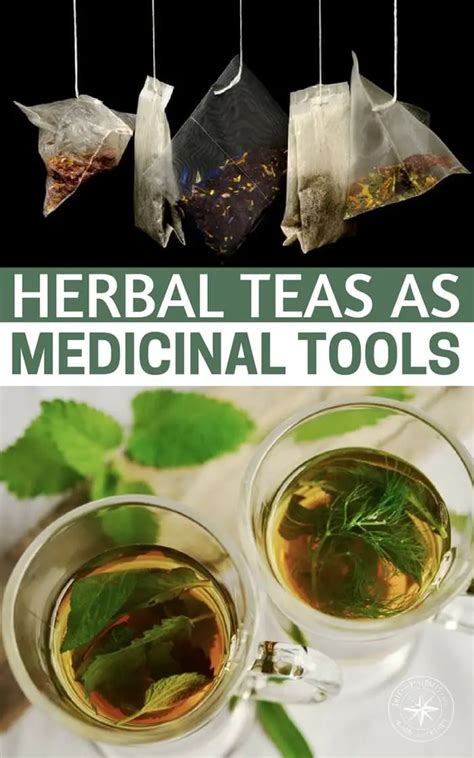 Herbal Teas As Medicinal Tools
