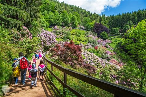 Loasi Zegna Un Magnifico Parco Naturale Ad Accesso Libero In Piemonte