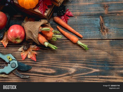 Fall Harvest Image And Photo Free Trial Bigstock
