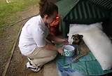 Photos of Volunteer Animal Clinic