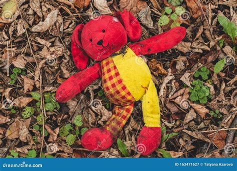Plush Toy Dog Wallow In Foliage Lost Dirty Red Toy Lies On The Ground