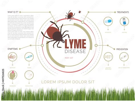 Lyme Disease Infographic Infographic Think Hot Sex Picture