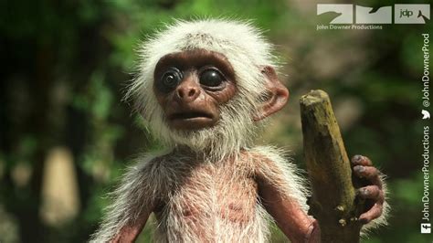 Robotic Spy Monkey Gets An Astonishing Reaction - YouTube